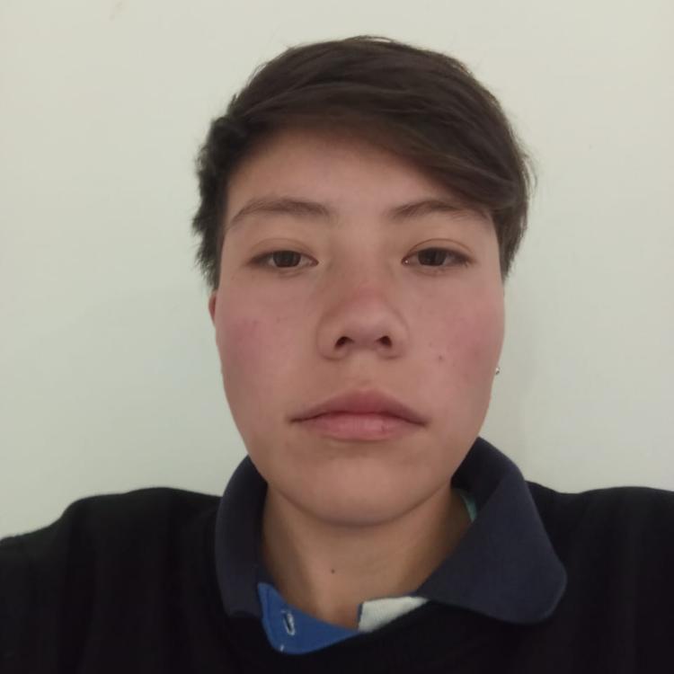 User Image
