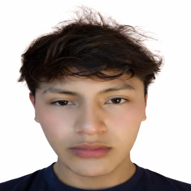 User Image